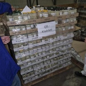 kész produktum raklap